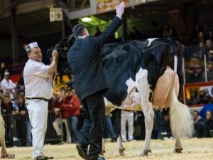 1459144_443529935757884_930975021_n