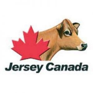 jersey-canada-logo-300x3001
