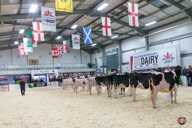 Harrison & Hetherington’s Borderway UK Dairy Expo saw the very best of