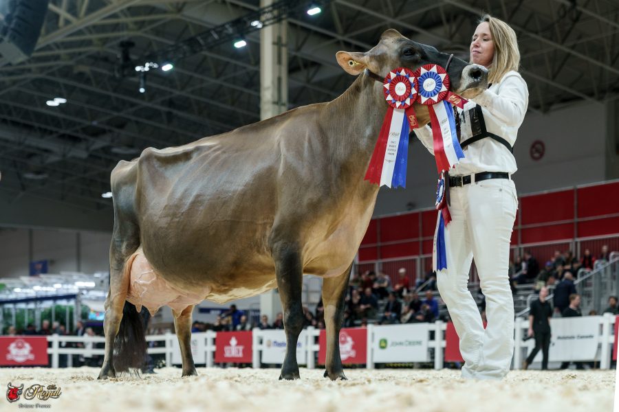 In its 62nd year, the All Canadian Contest is a Jersey Canada award