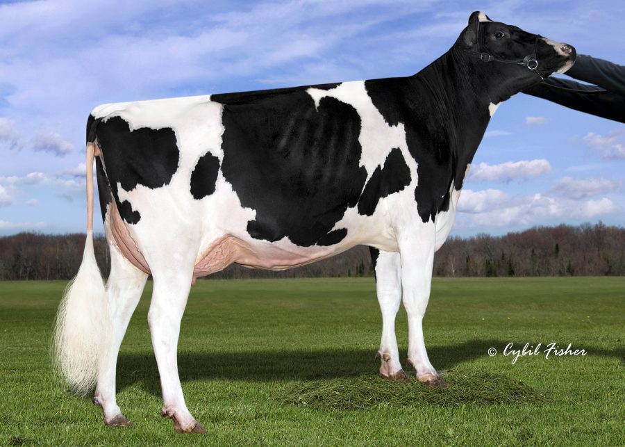 SIEMERS RUBICON M-ROZ-C-ET EX-90 92-MS @3-06