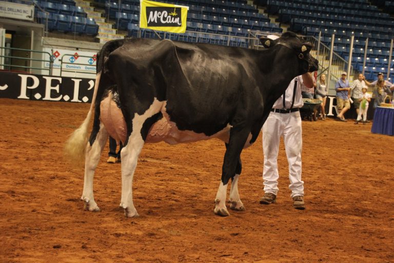 Monday , August 12 th , 2019