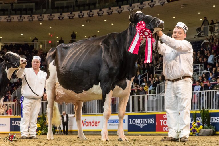 Thursday , June 11 th , 2020