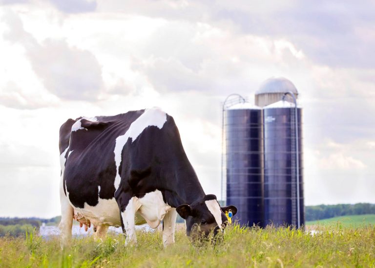 Siemers Holstein Farms have acquired SandyValley Farms