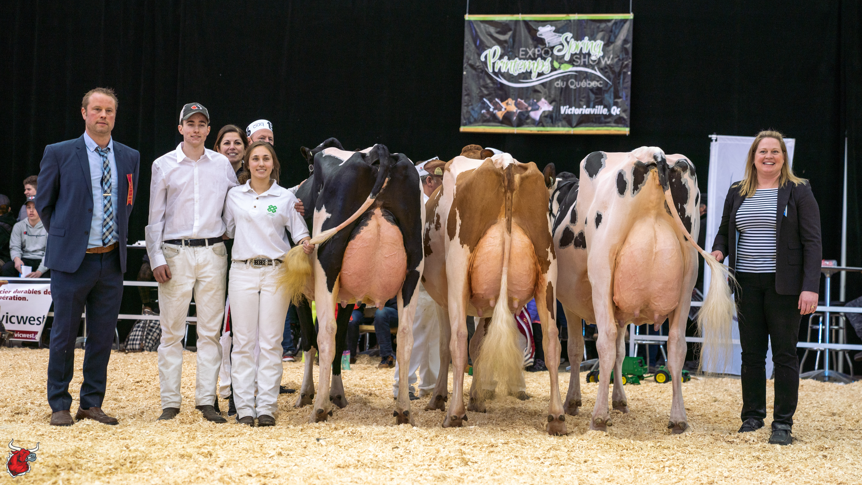 Quebec Spring Show – Holstein Show 2022