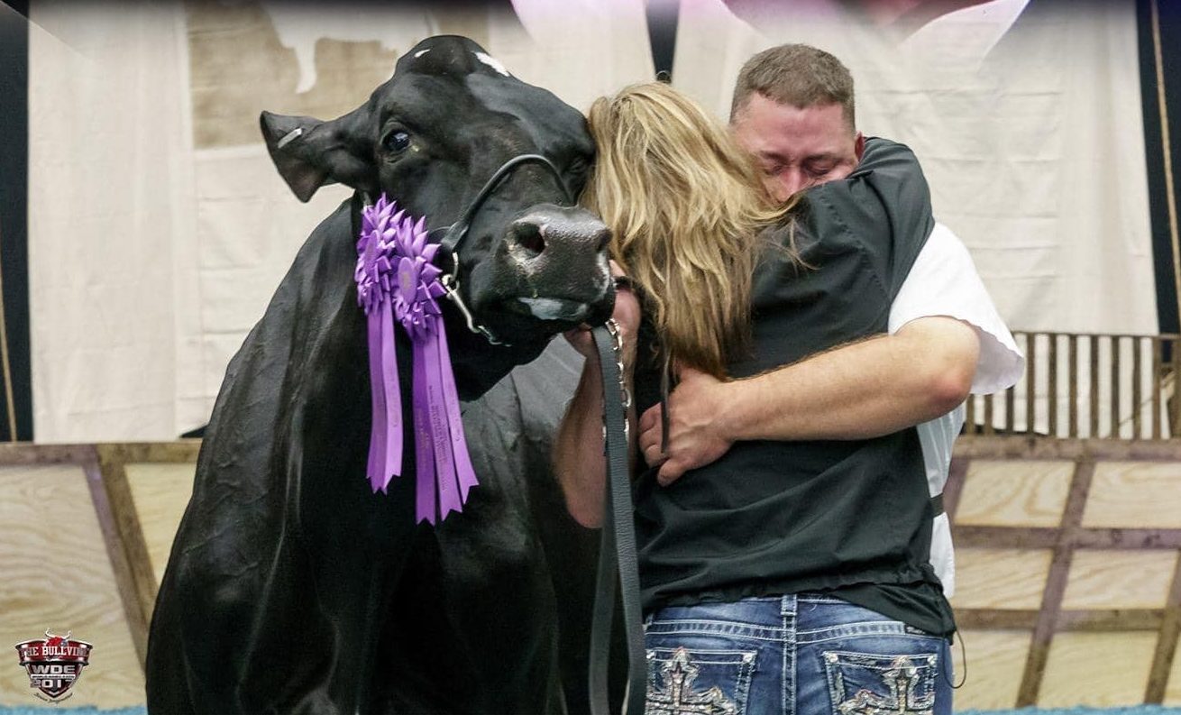 Tuesday , June 7 th , 2022