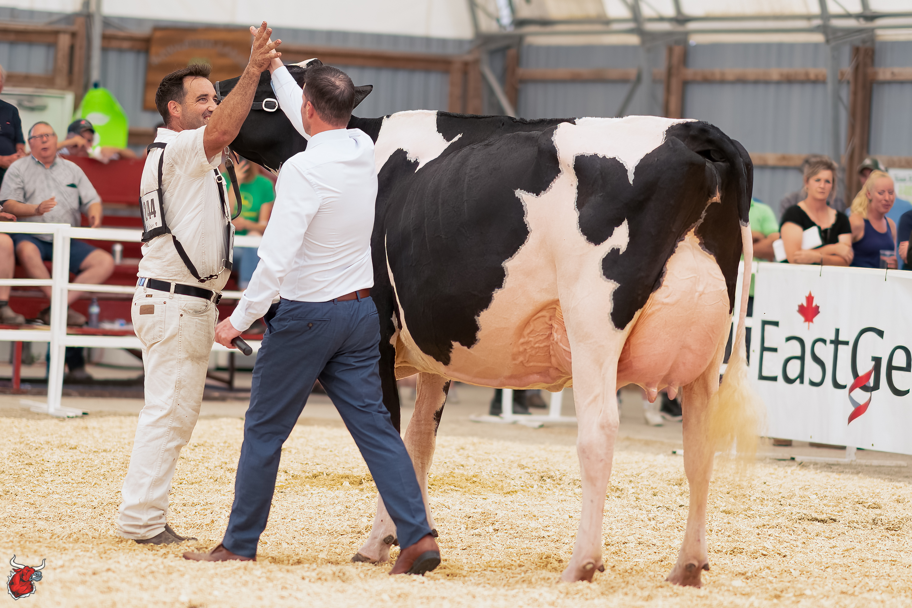 Ontario Summer Holstein Show 2022