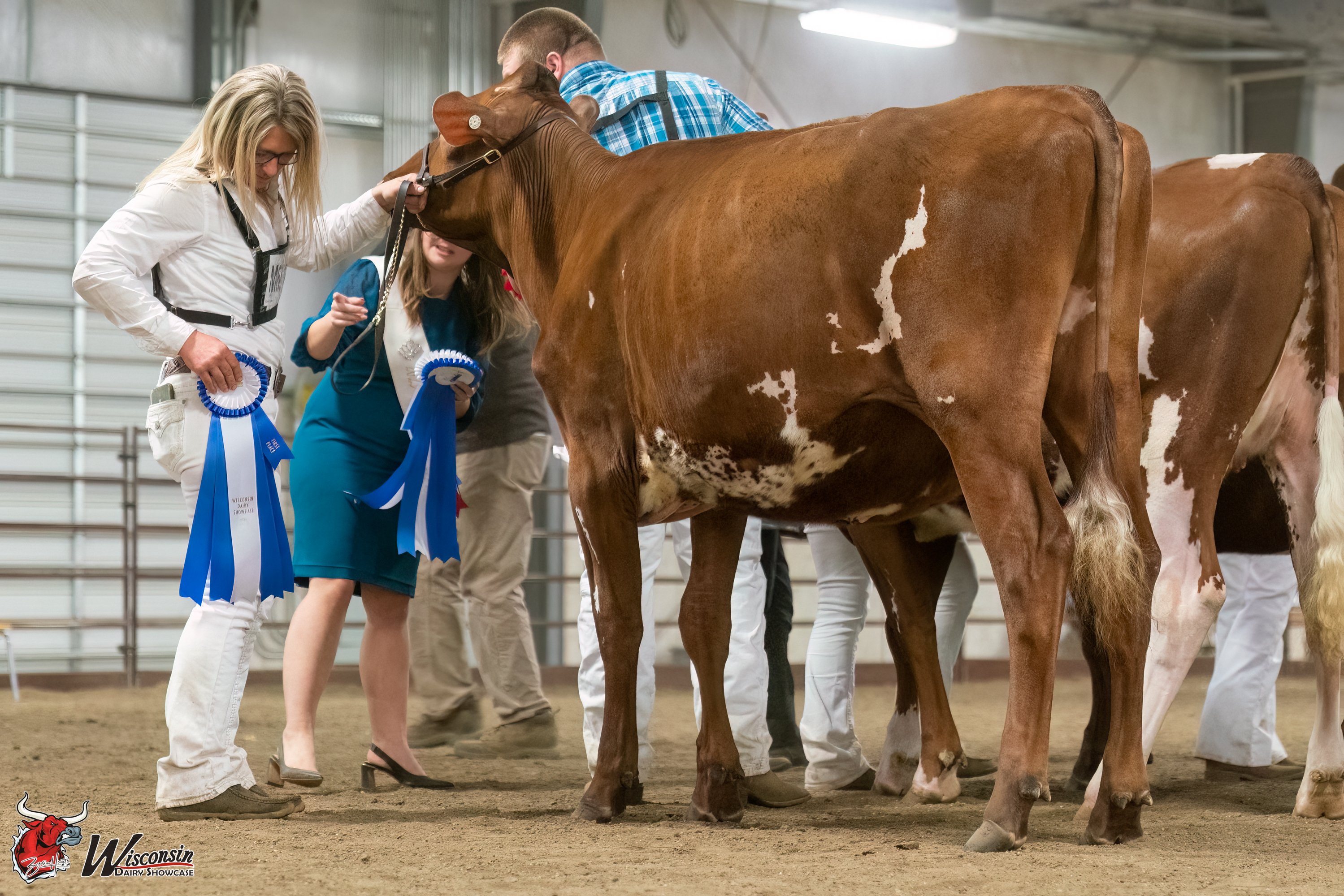 Midwest National Spring Milking Shorthorn Show 202…