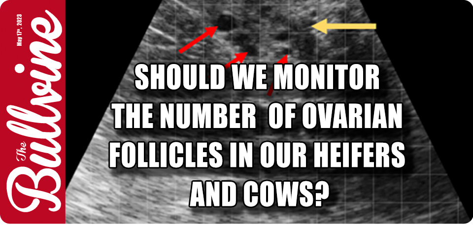 Should we monitor the number of ovarian follicles…