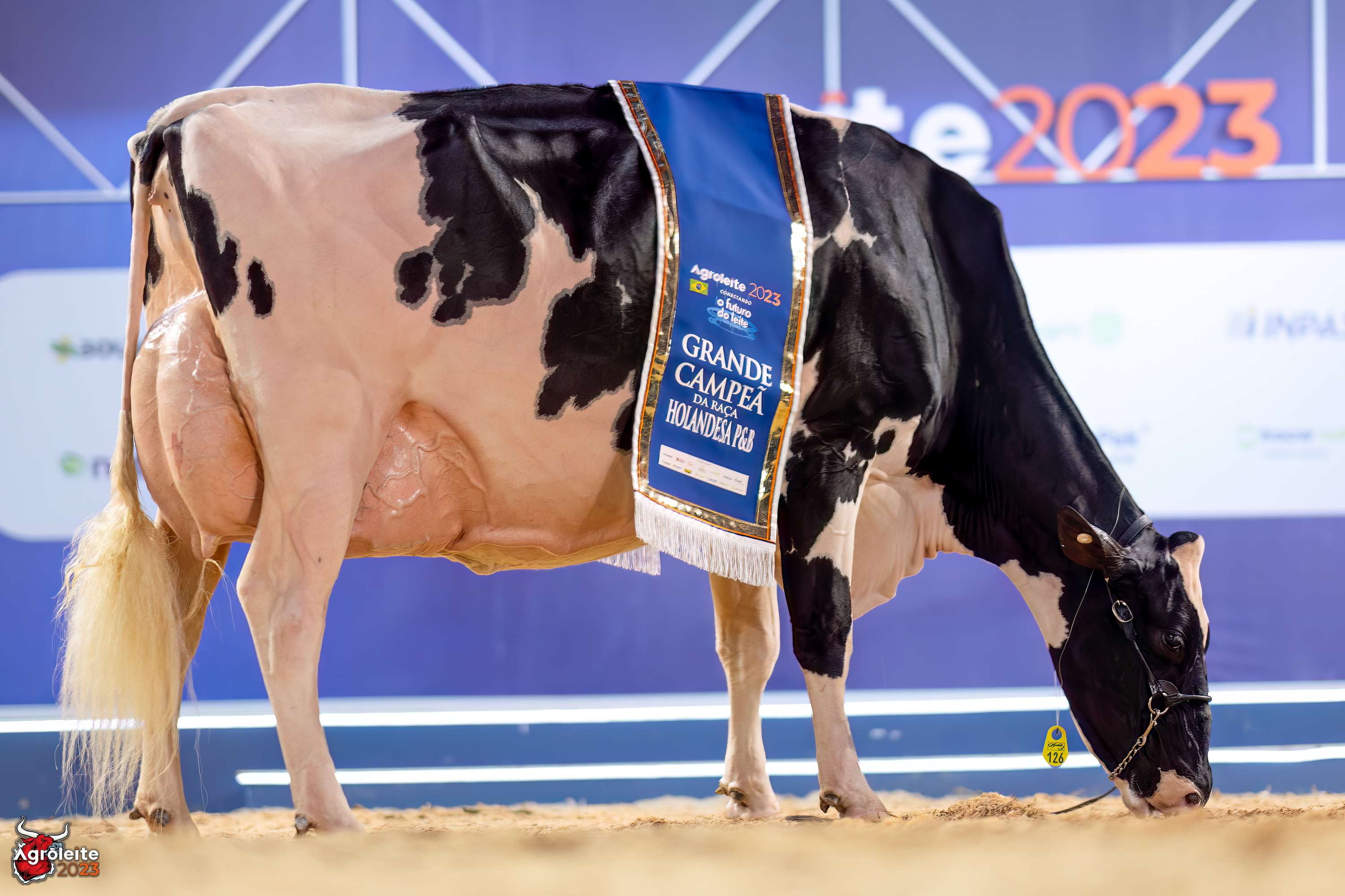 Agroleite Holstein Show 2023