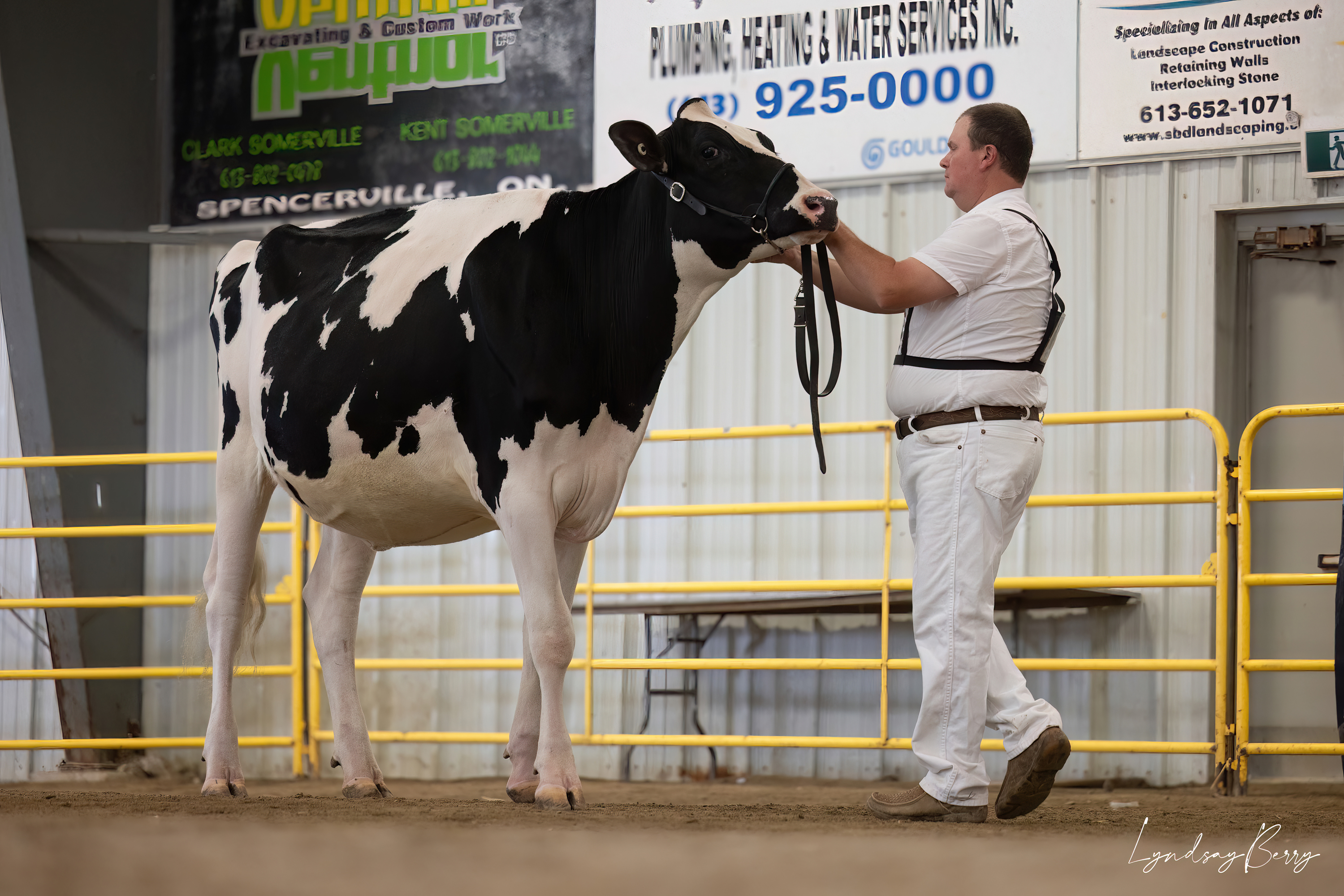 Eastern Ontario Invitational Holstein 2023