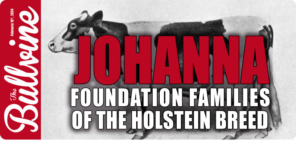 Johanna – Foundation Families of the Holstein Bree…