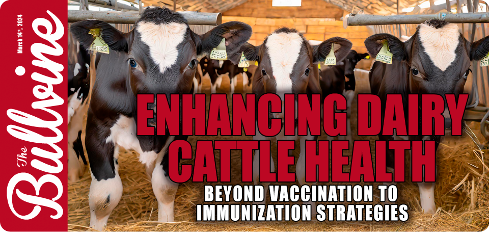 Enhancing Dairy Cattle Health: Beyond Vaccination…