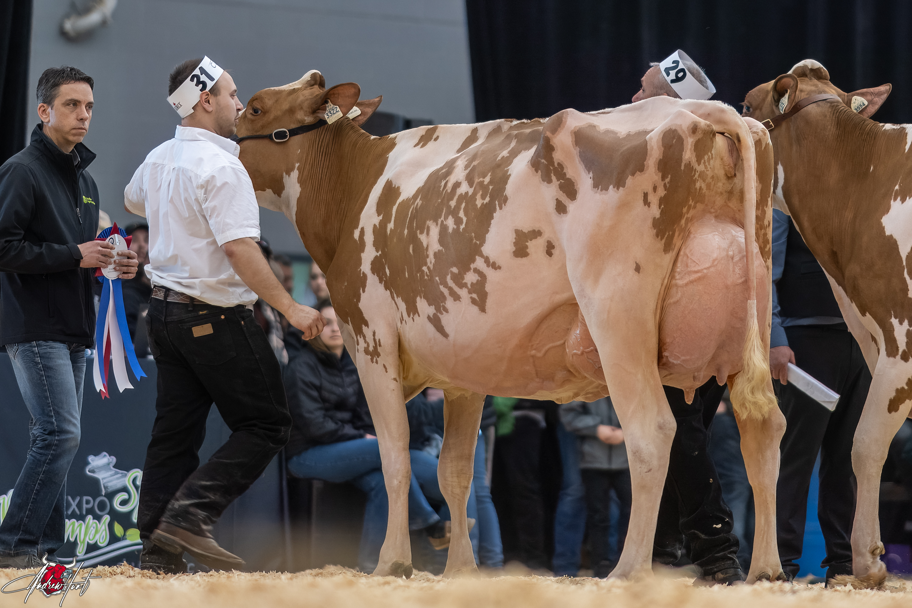 VALEPIERRE ARTISAN ALICEGrand Champion
Expo-Printemps / Quebec Spring Show - Red & White Holstein 2024
B. LEHOUX & FILS INC, SAINT-ELZÉAR, QC