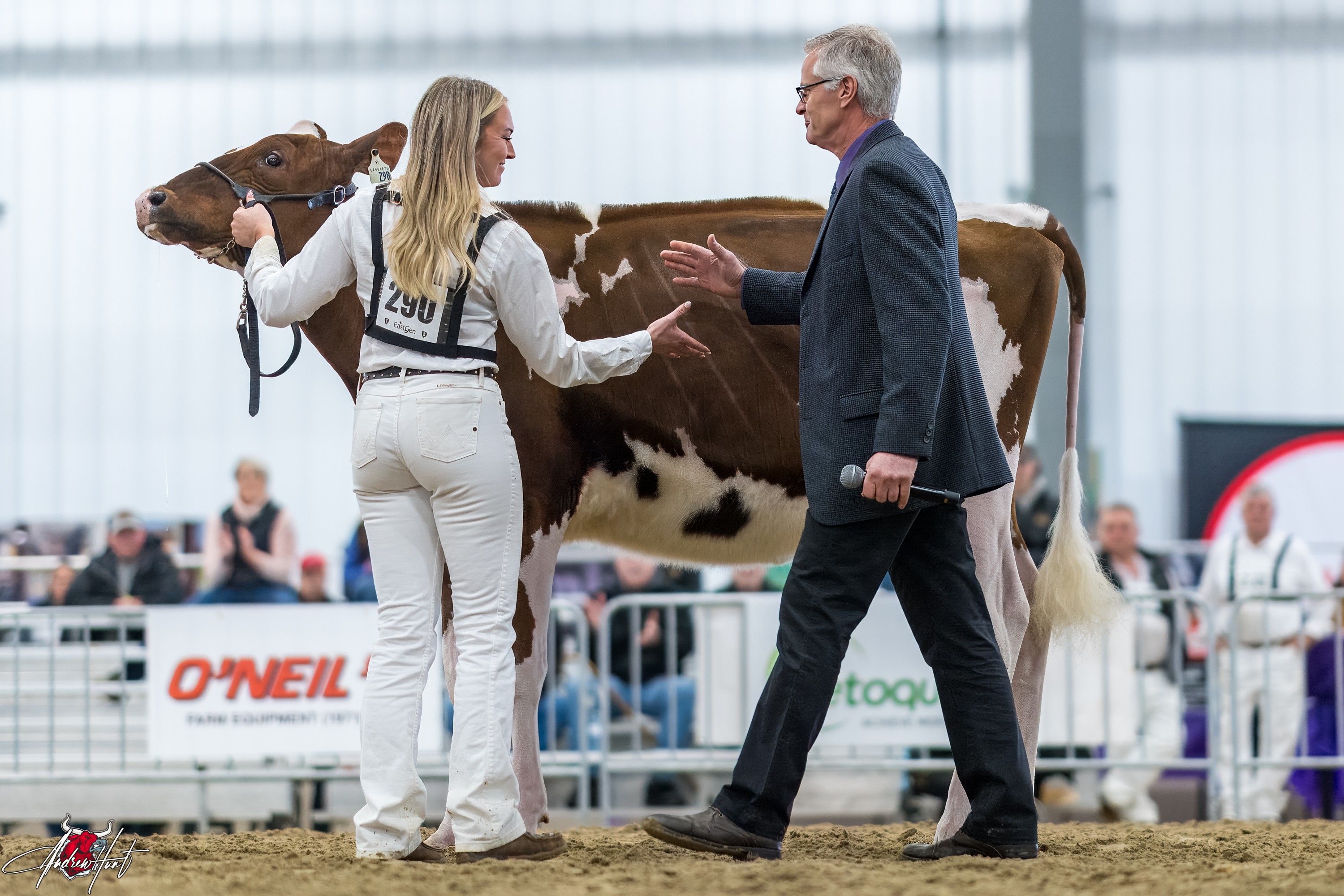 WINRIGHT BELIEVE TALLAHASSEEJunior Champion - Ontario Spring Discovery Dairy Show Holstein 2024 M & G LINTVELT , R. SHORE , VERTHEIN & GRIFITH, WINCHESTER, ON