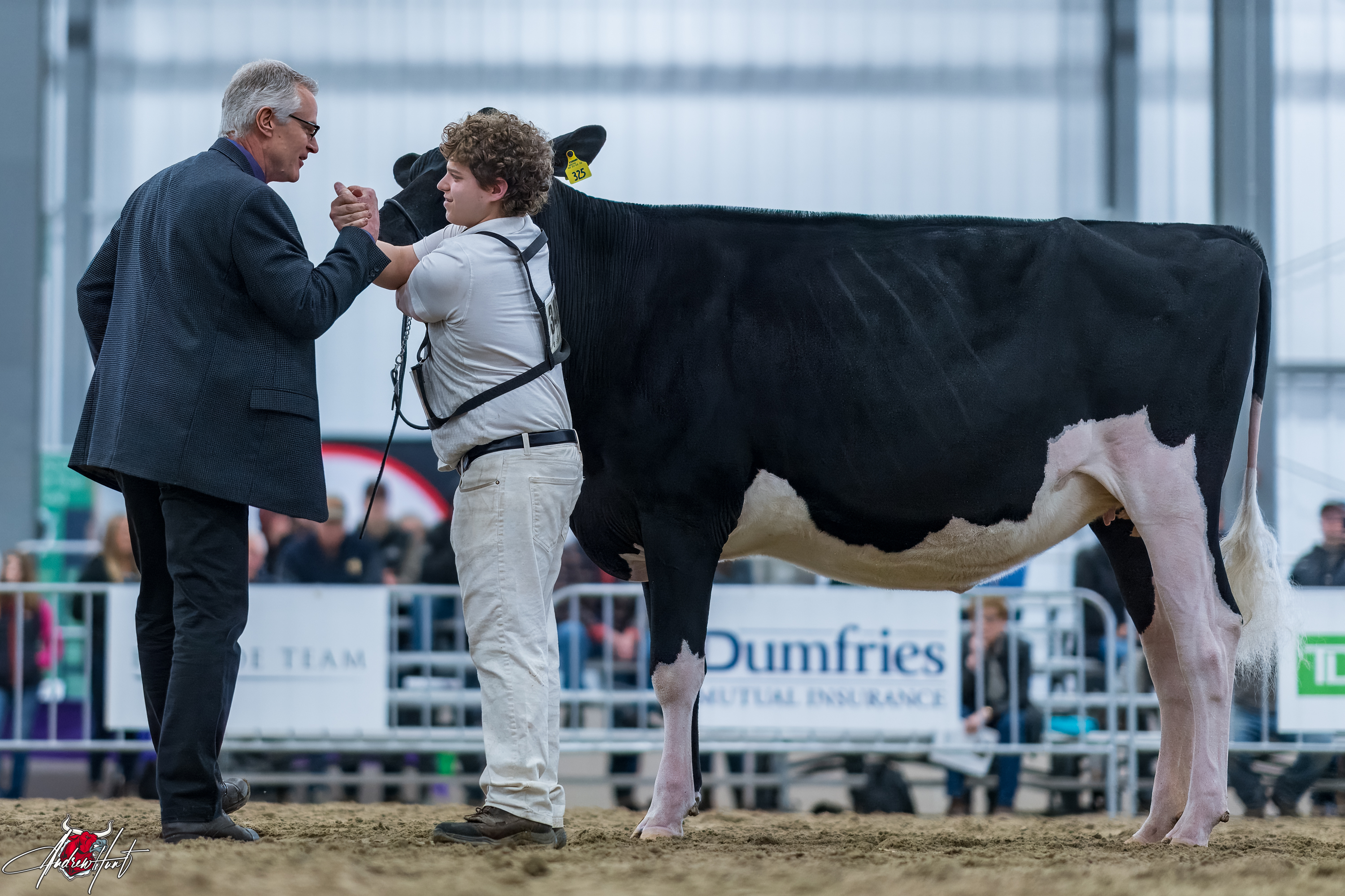 In-Style Jewel In The NightJunior Champion - Ontario Spring Discovery Dairy Show Holstein 2024 JANNALEE COLEMAN , ISAAC FOLTS , RILEY WHISLER, NY