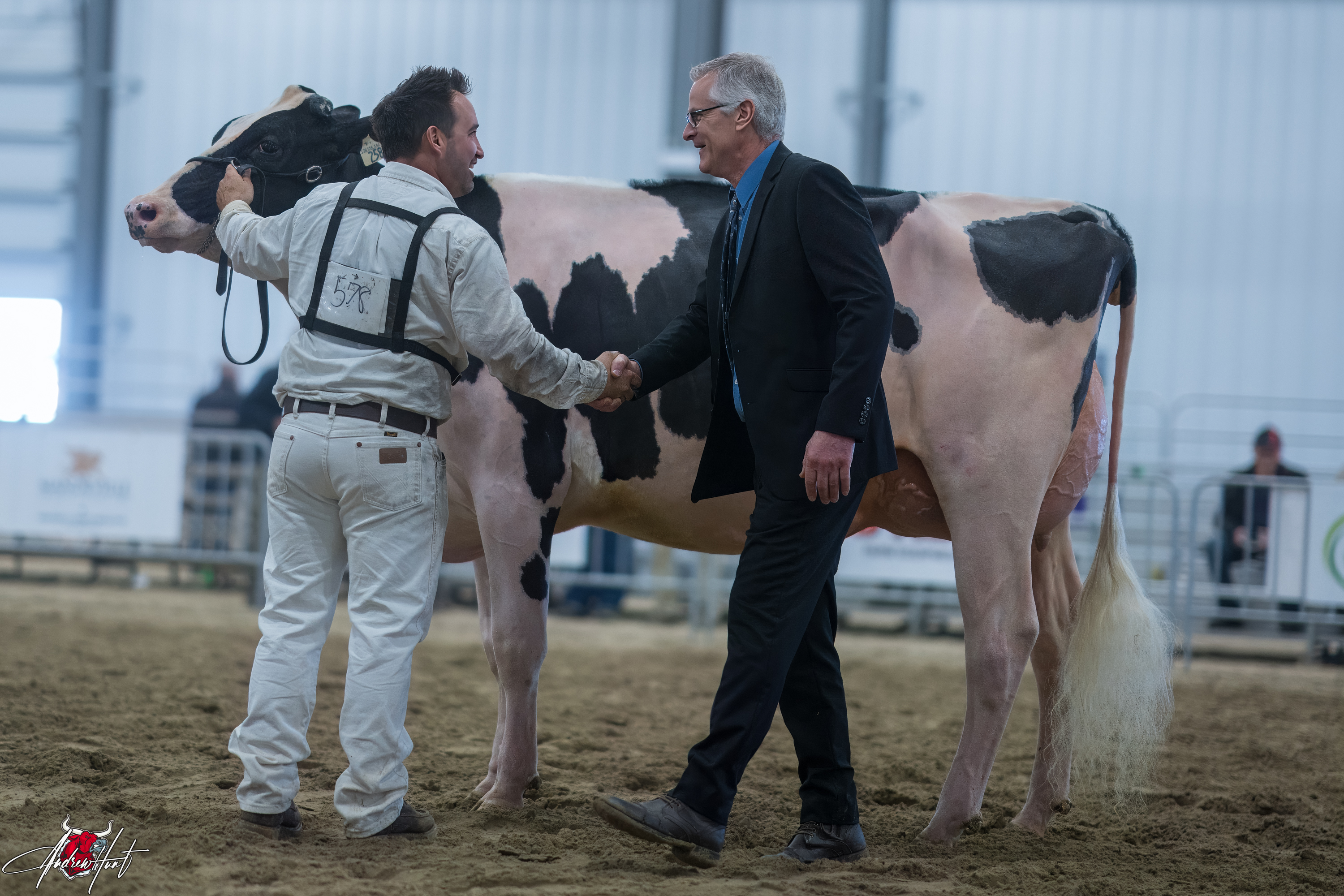 DOUBLE-G LAMDA GOLDIntermediate Champion
Ontario Discovery Dairy Show Holstein 2024
HODGLYNN HOLSTEINS, JOEL PHOENIX, KINCARDINE, ON