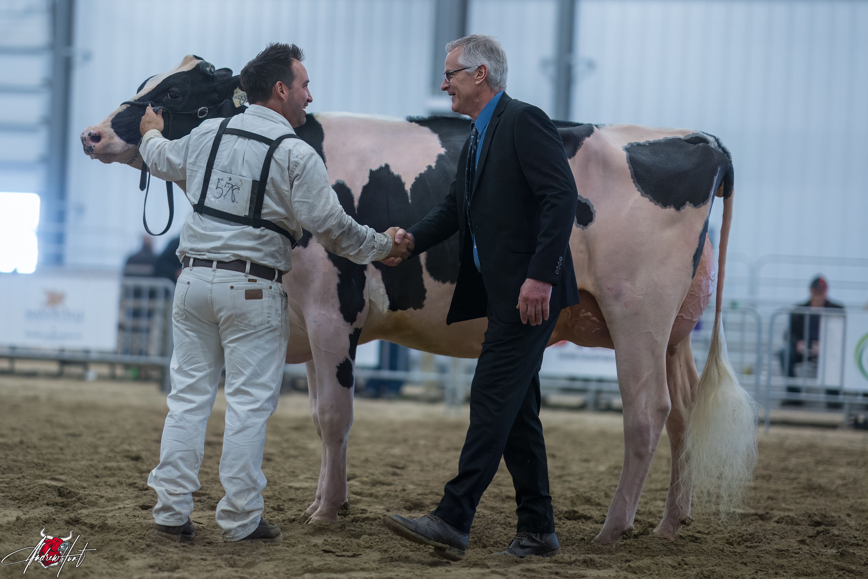 DOUBLE-G LAMDA GOLDIntermediate Champion
Ontario  Discovery Dairy Show Holstein 2024
HODGLYNN HOLSTEINS, JOEL PHOENIX, KINCARDINE, ON