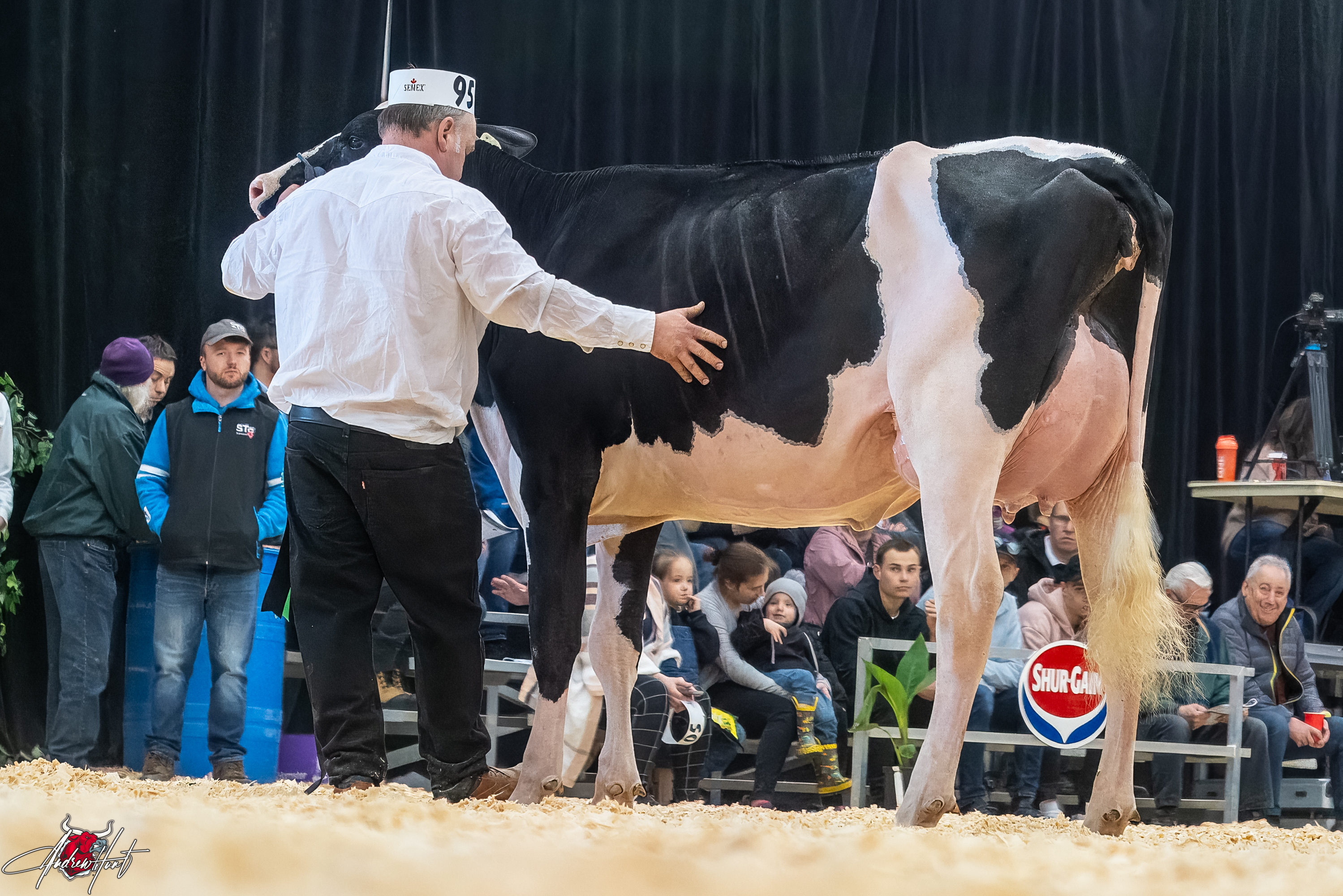 FRANKSTYLE DELTA LAMBDA JULY 1st place Summer Two Year Old Expo-Printemps / Quebec Spring Show - Holstein 2024 PIERRE BOULET, MONTMAGNY, QC