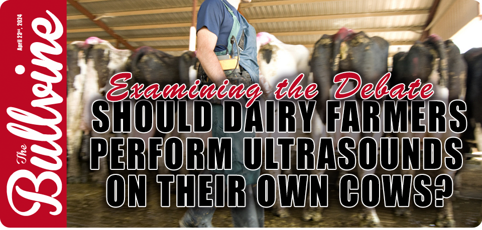 Examining the Debate: Should Dairy Farmers Perform…
