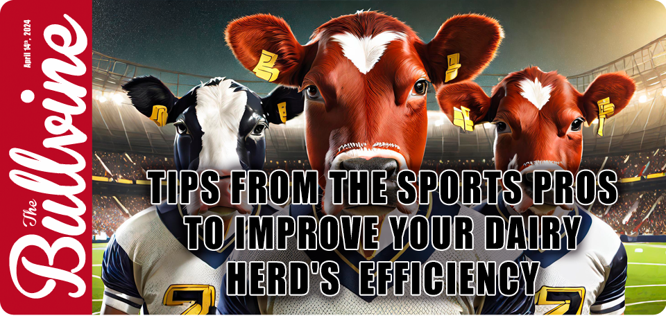 Tips from the Sports Pros to Improve Your Dairy He…