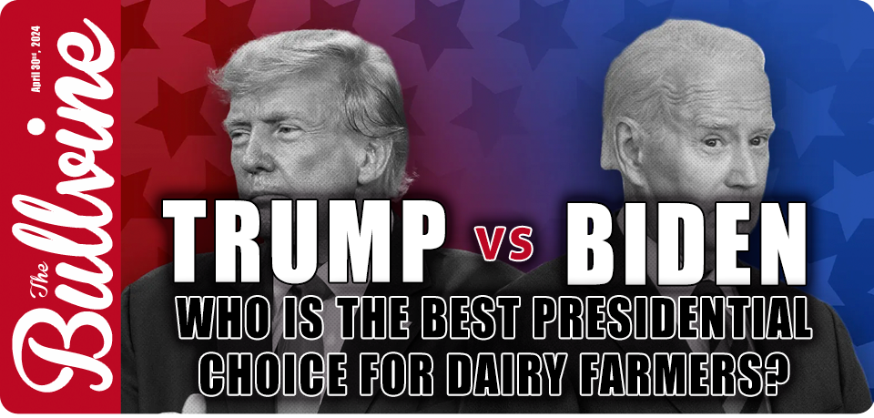 Trump vs Biden: Who is the Best Presidential Choic…