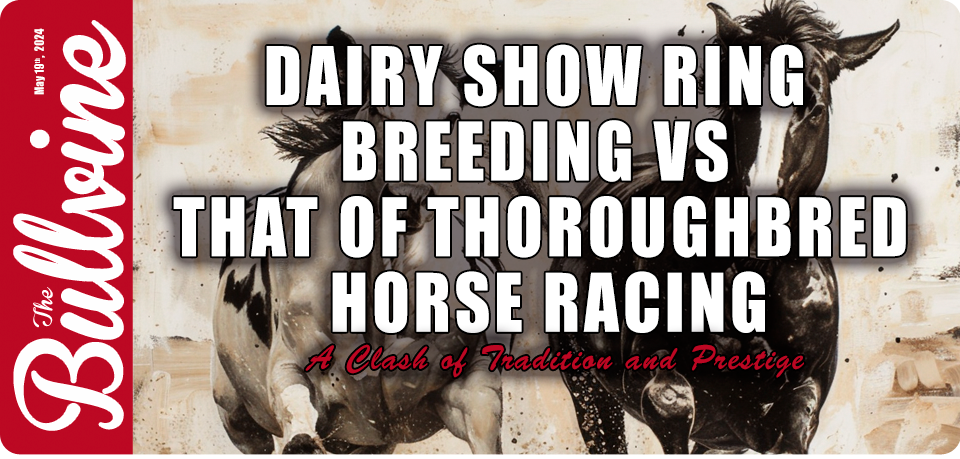 Dairy Show Ring Breeding vs that of Thoroughbred H…