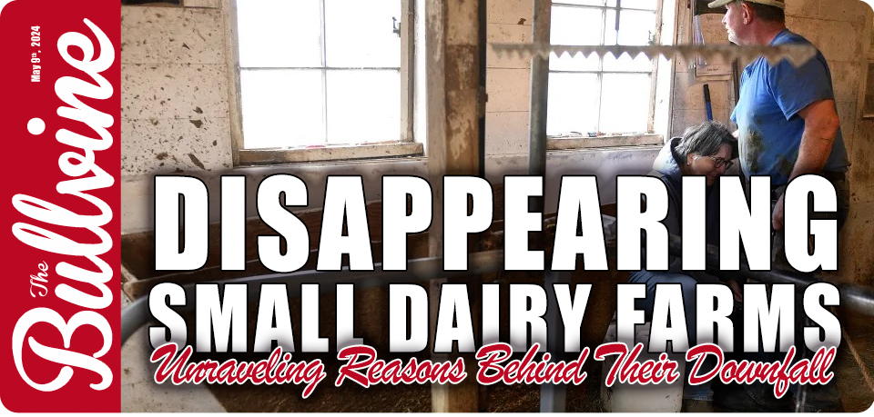 Disappearing Small Dairy Farms: Unraveling Reasons…