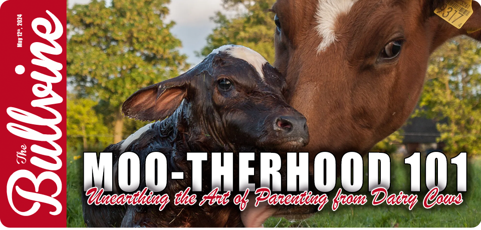 Moo-therhood 101: Unearthing the Art of Parenting…