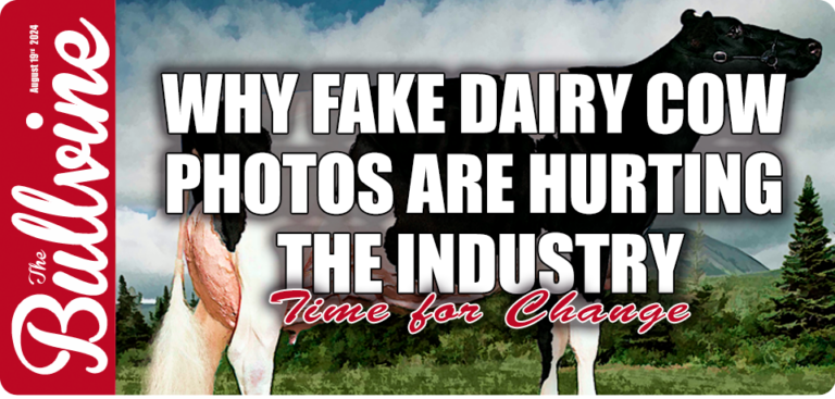 Fake Cattle Style_Bullvine