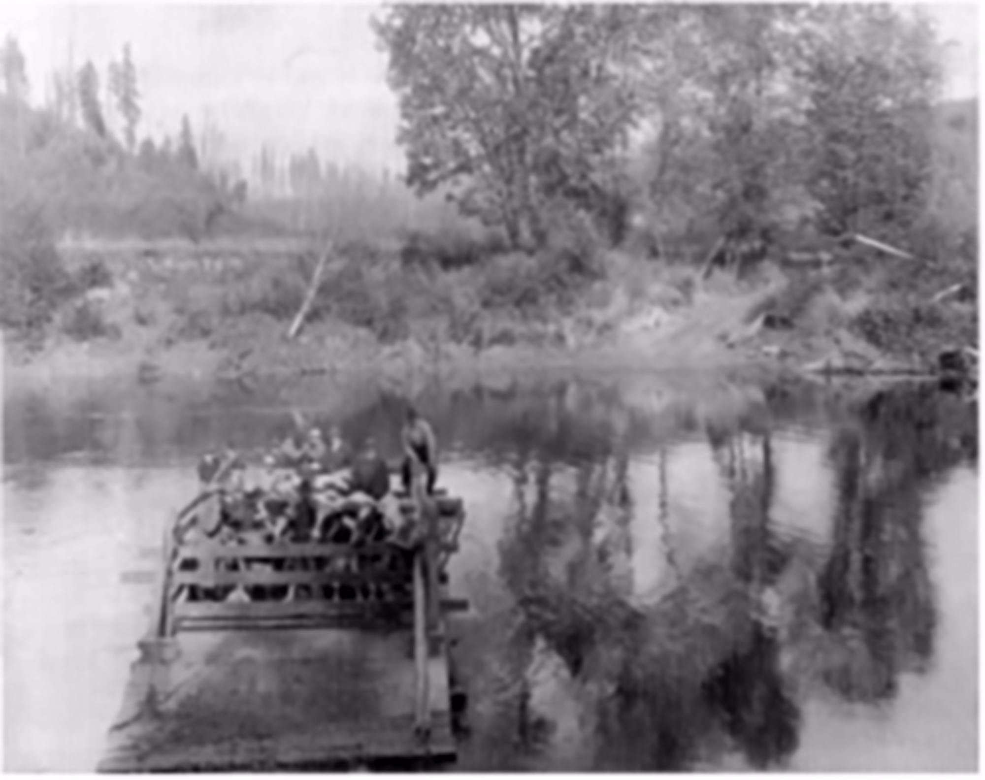 Historic Transport to Carnation’s Dairy Empire: This rare photograph from circa 1910 captures a cable ferry crossing the Snoqualmie River, the lifeline for E.A. Stuart’s fledgling Carnation Farms. Before railroads reached the valley in 1911, boats and ferries provided the only connection between Stuart’s ambitious dairy operation and the outside world. Milk produced at the farm traveled by river to processing facilities, while livestock and supplies made the reverse journey. The surrounding landscape shows the partially cleared wilderness that greeted Stuart when he purchased the property sight unseen in 1908—a purchase he initially called “a disgrace for a Stuart to be connected with.” This ferry crossing marked the beginning of what would become one of America’s most famous agricultural enterprises, home to record-breaking “Contented Cows” and revolutionary breeding practices that transformed dairy farming worldwide.