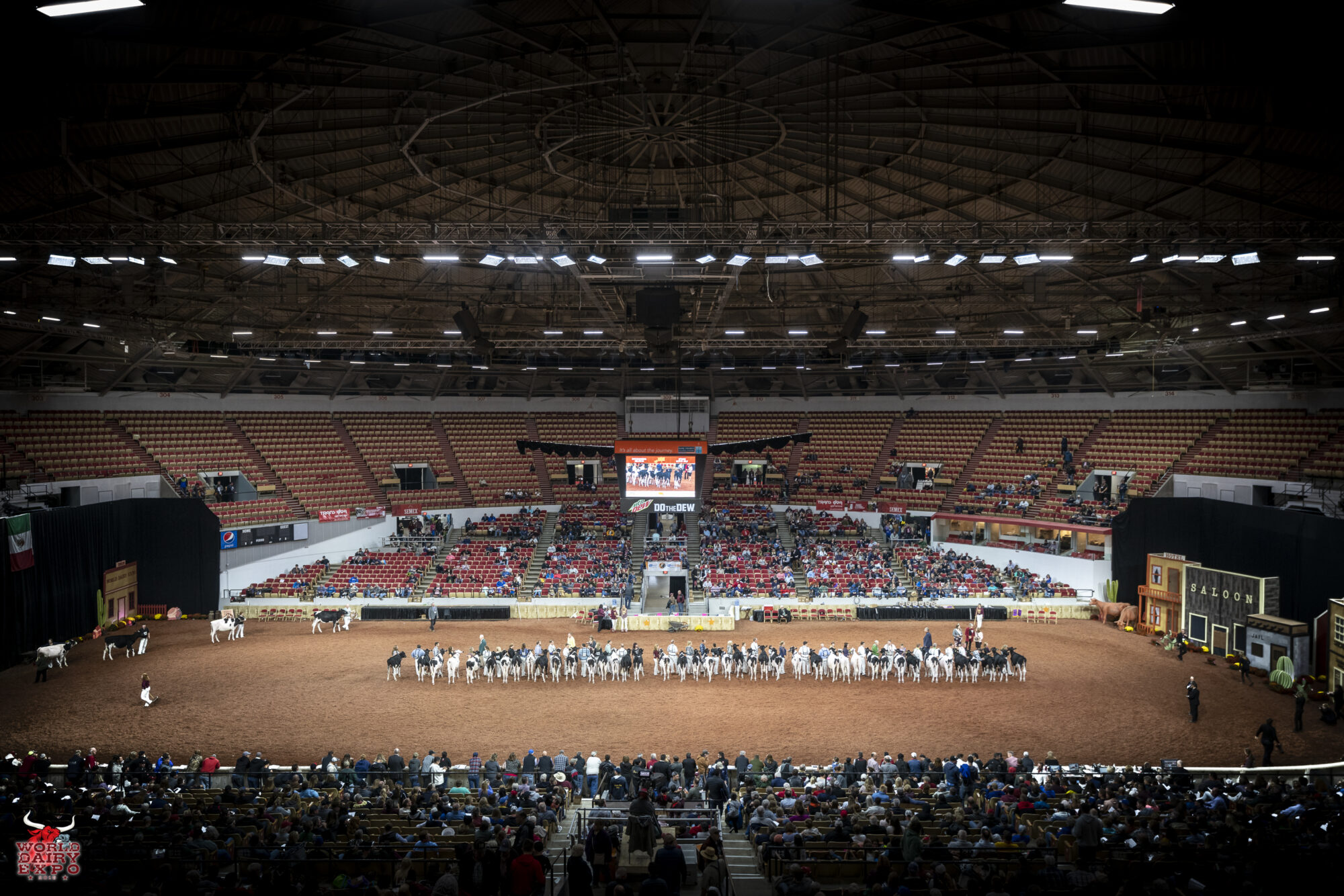 World Dairy Expo rules, dairy show ethics, dairy cattle fitting, marketing dairy genetics, dairy showmanship standards