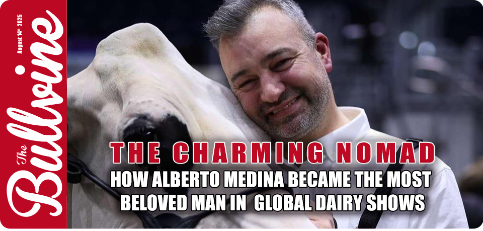 dairy cattle showing, cattle fitter, show ring success, dairy genetics marketing, global dairy industry