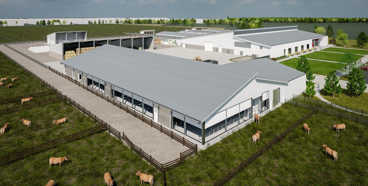 Robotic milking systems, dairy automation ROI, dairy labor shortage, future of dairy farming, university dairy programs