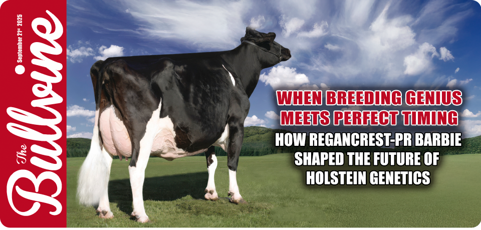 Holstein genetics, dairy herd management, genetic selection, dairy profitability, brood cow