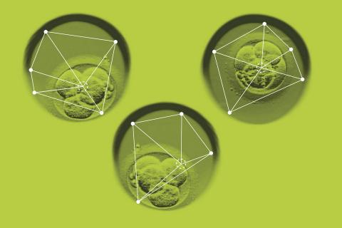 AI embryo selection, dairy reproduction technology, bovine IVF, dairy farm profitability, genetic improvement