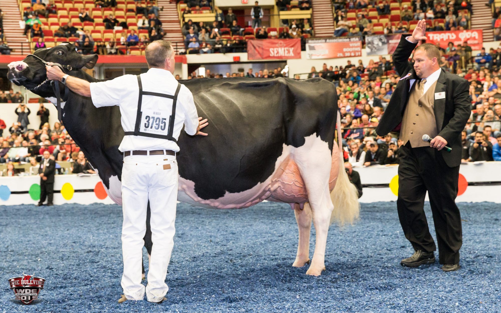 ホルスタイン♪ ④CE28NF 18インチ 1本 ホルスタイン♪ ④CE28NF 18インチ 1本 楽天市場】エイムゲイン