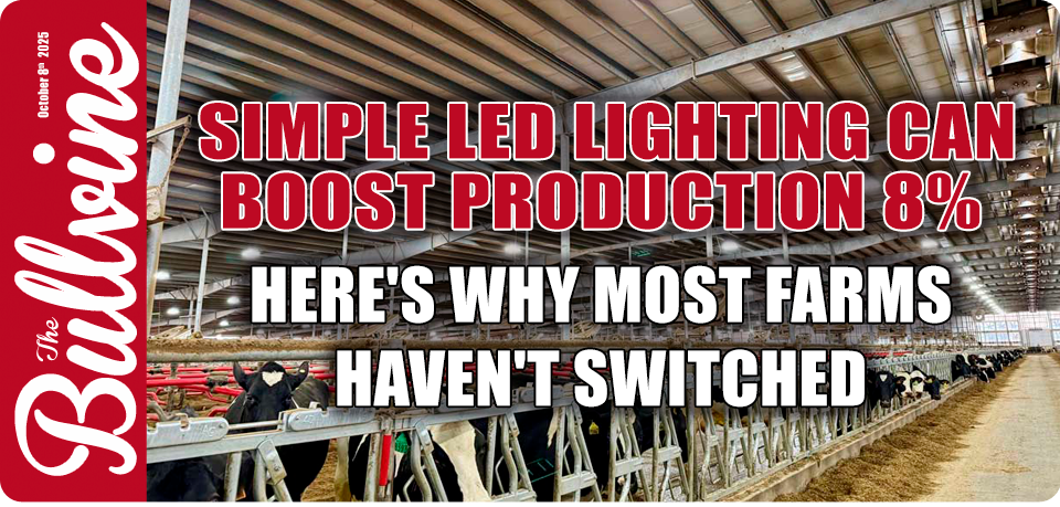 dairy lighting ROI