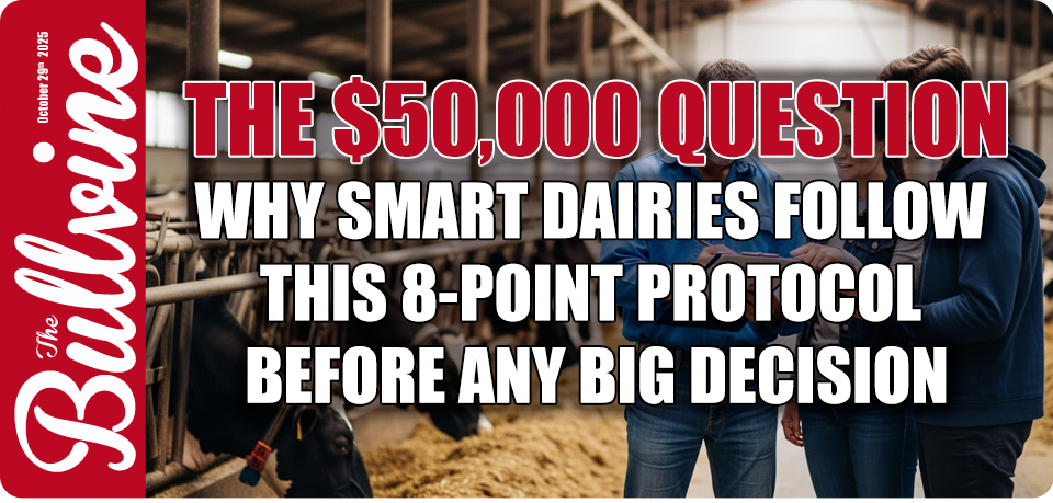 : dairy farm profitability protocol