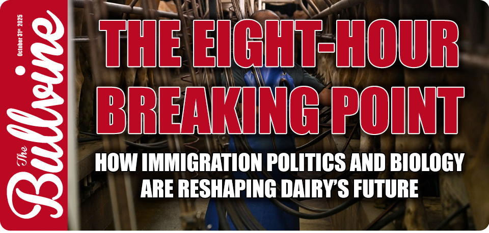 Dairy Labor Crisis