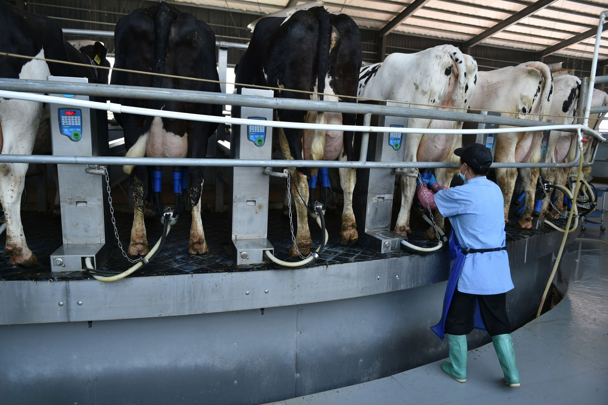 Future of Dairy Farming