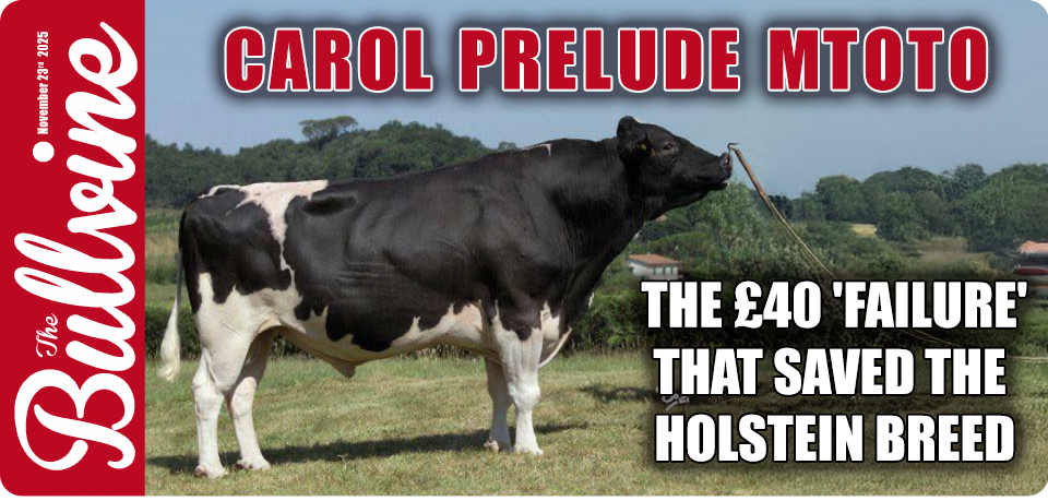 Profitable dairy genetics