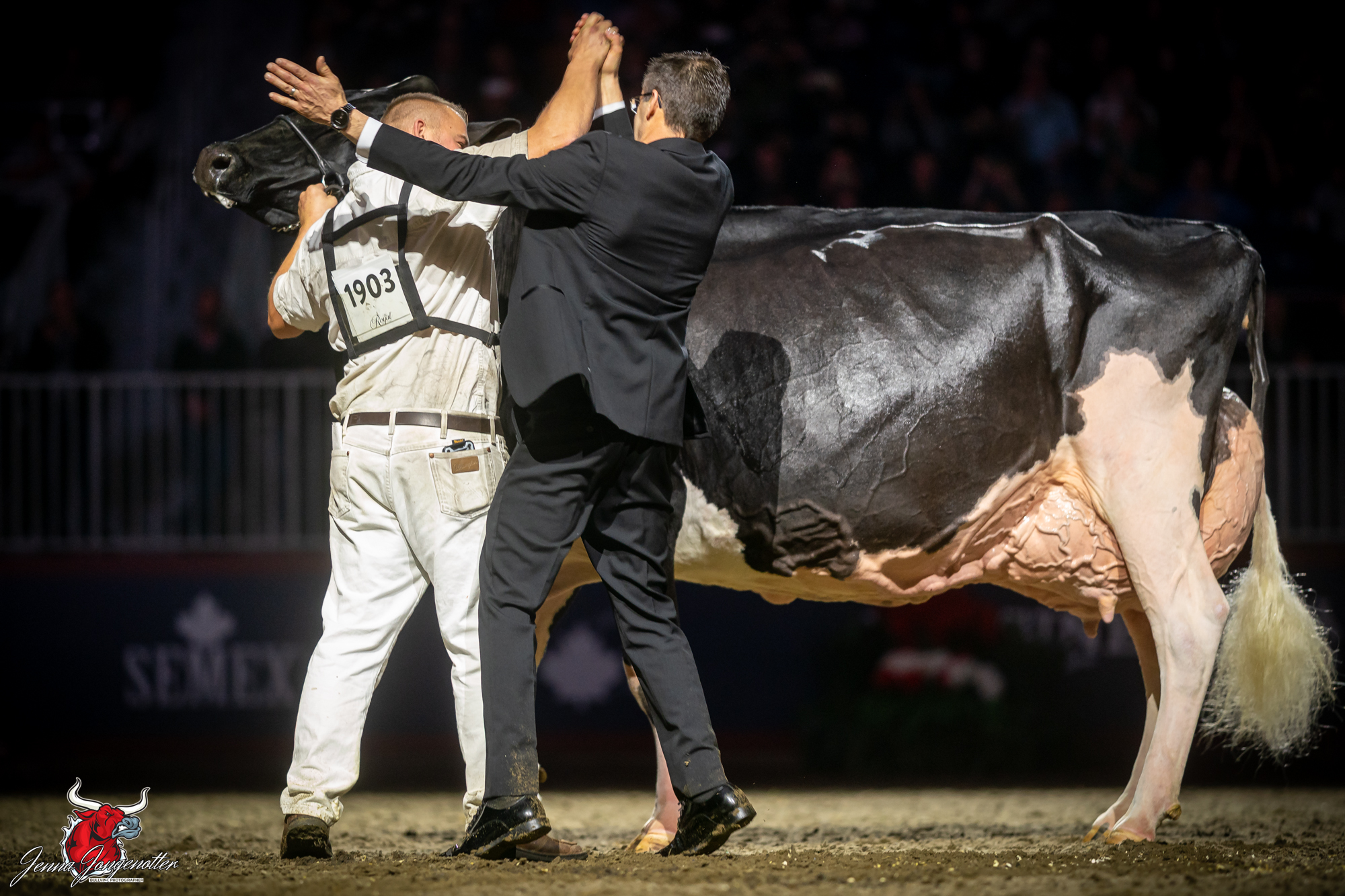 ALTONA LEA UNIX HERMINIE Grand Champion Royal Winter Fair Holstein Show 2025 DALTON J. FARIS, EAST GWILLIMBURY, ON