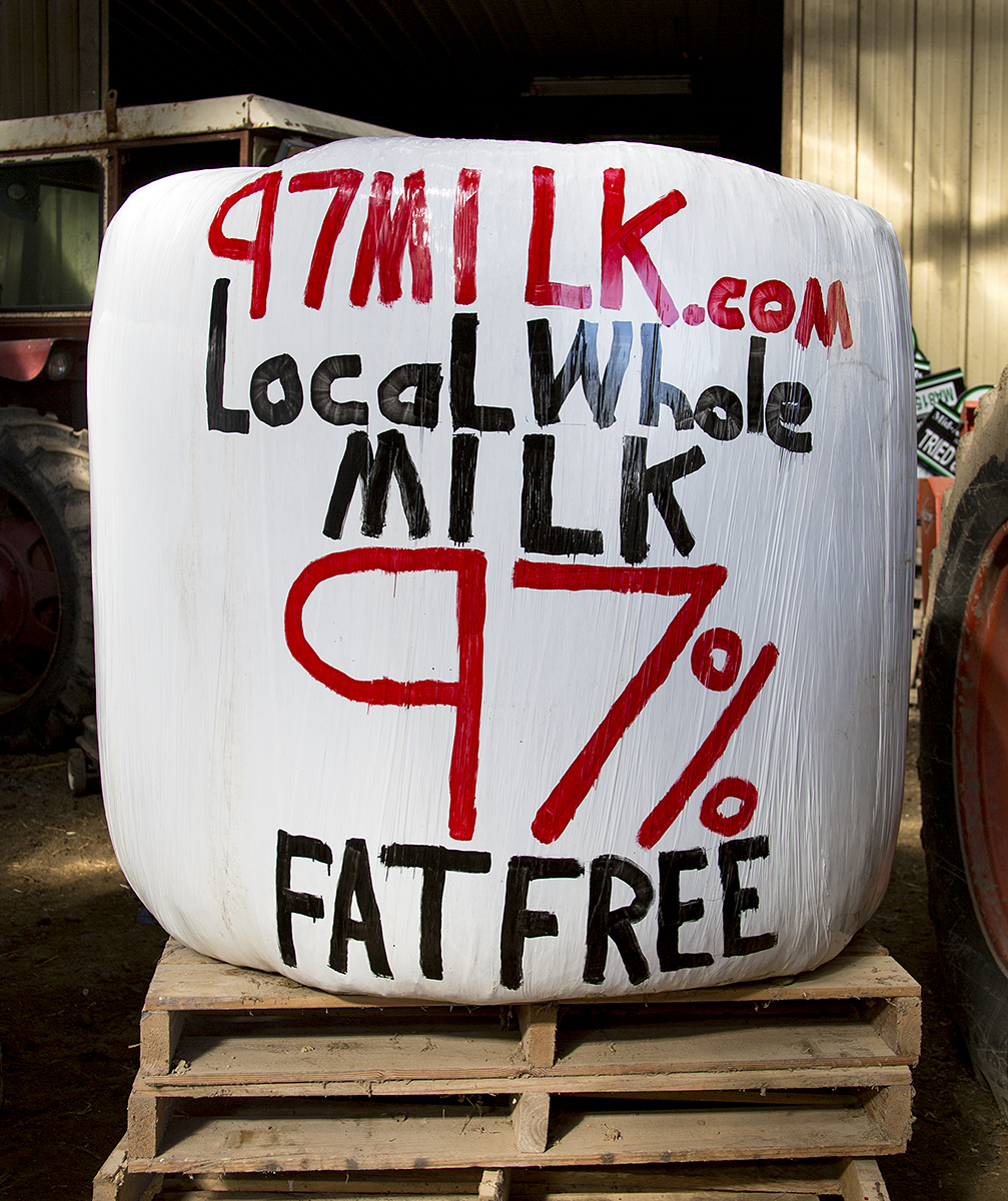 Whole Milk in Schools