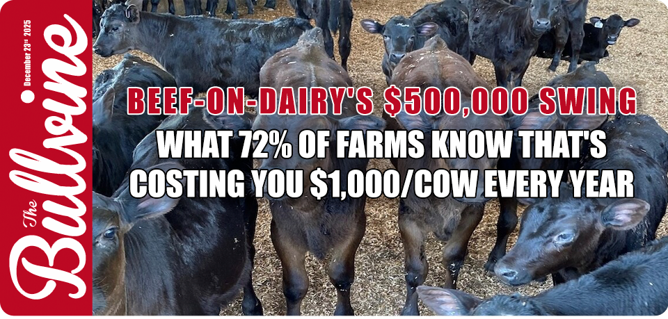 Beef-on-Dairy’s $500,000 Swing: What 72% of Farms&hellip;