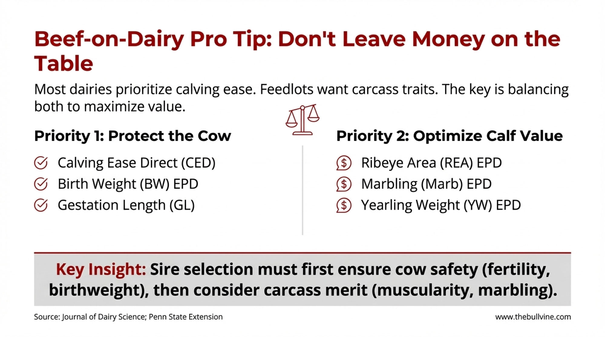 Dairy Farming | The Bullvine