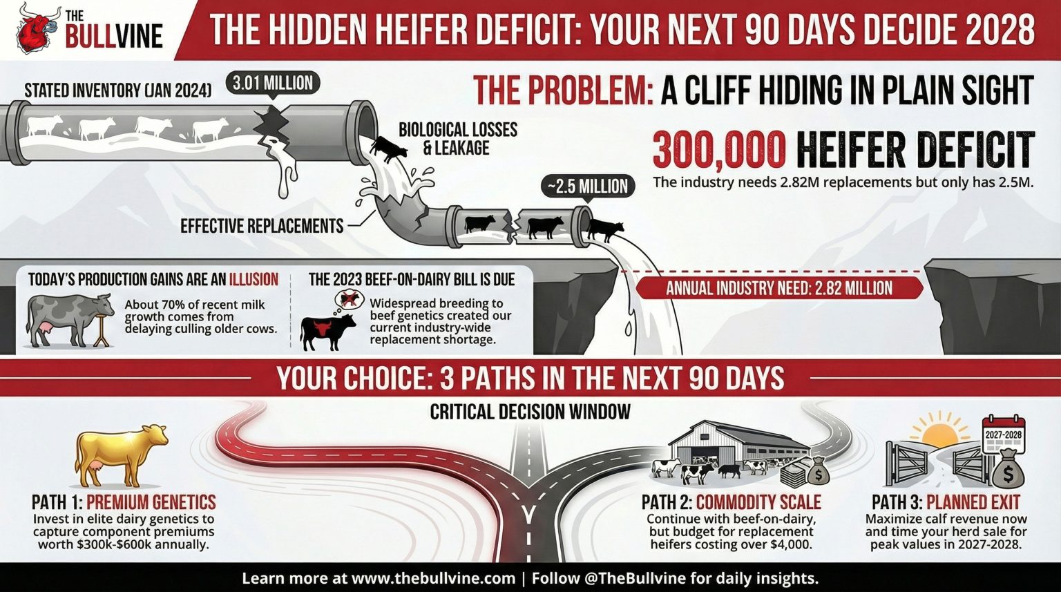 The Heifer Crisis Hiding in Plain Sight: Why Your Next 90 Days ...