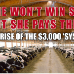 dairy replacement costs