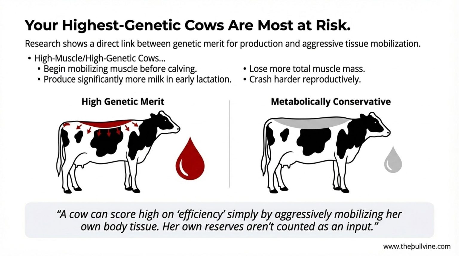 Genic Cows Nutrition can buffer against aggressive tissue mobilization. Good ...