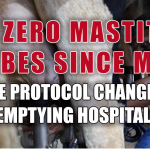 Mastitis Biofilm Prevention